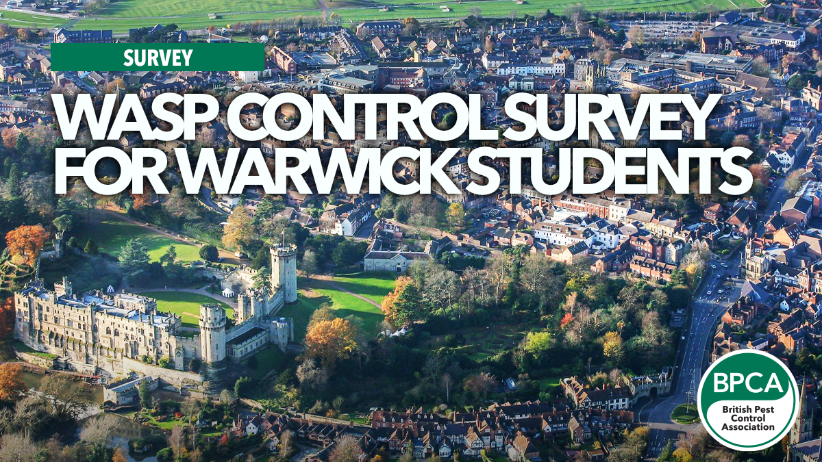 wasp-control-survey-warwick